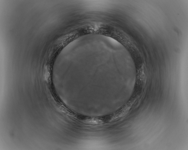 X0000112110754200909011145