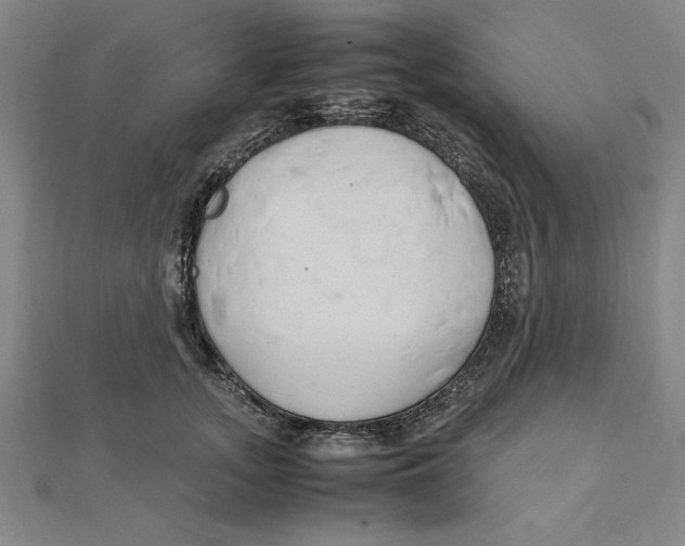 X0000112110755200909011145