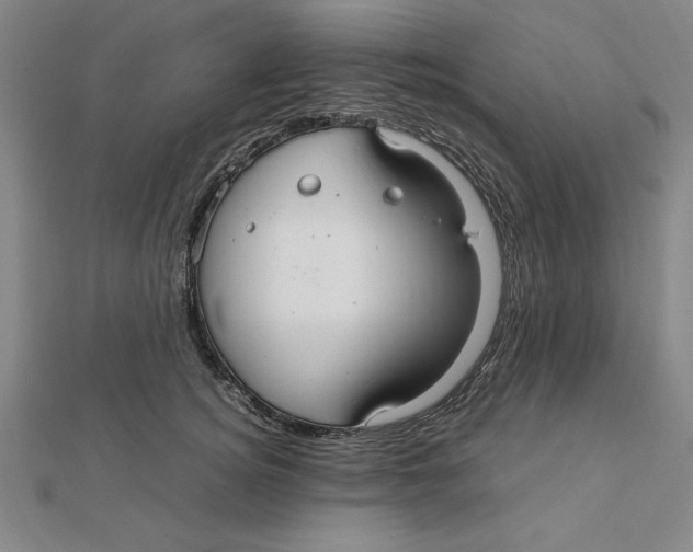 X0000112110756200909011145