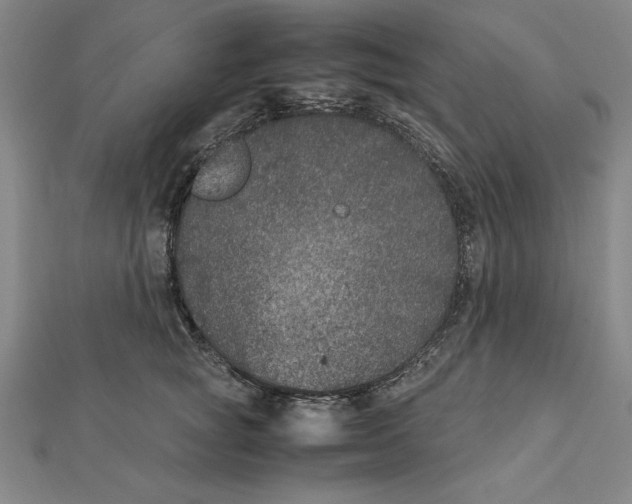 X0000112110757200909011145