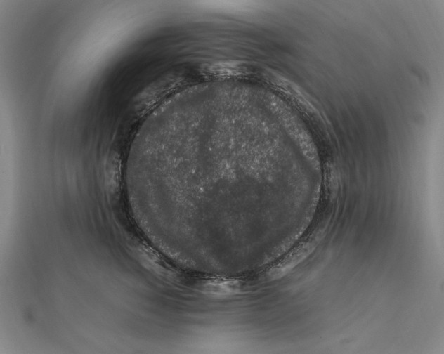 X0000112110760200909011145