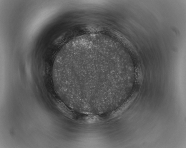 X0000112110762200909011145