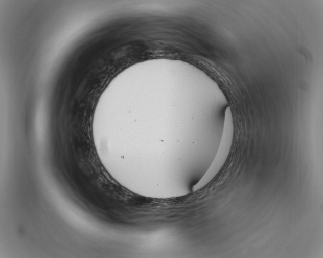 X0000112110764200909011146
