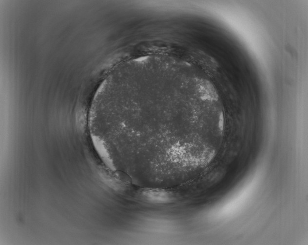 X0000112110767200909011146