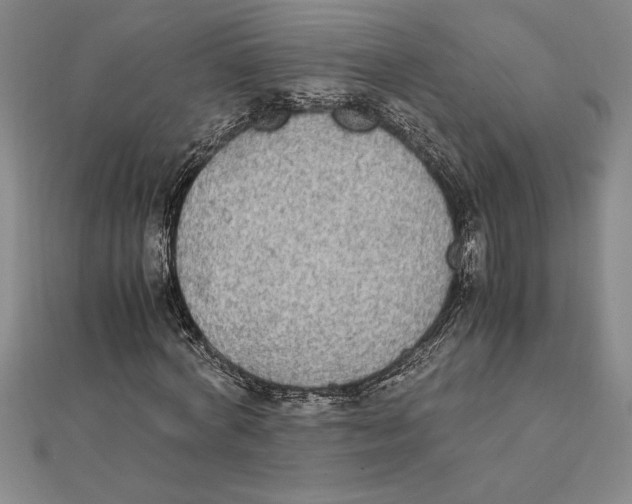 X0000112110772200909011145