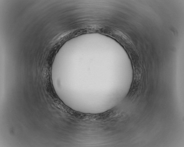 X0000112110773200909011145