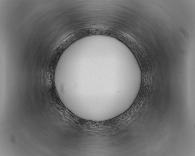 X0000112110774200909011145