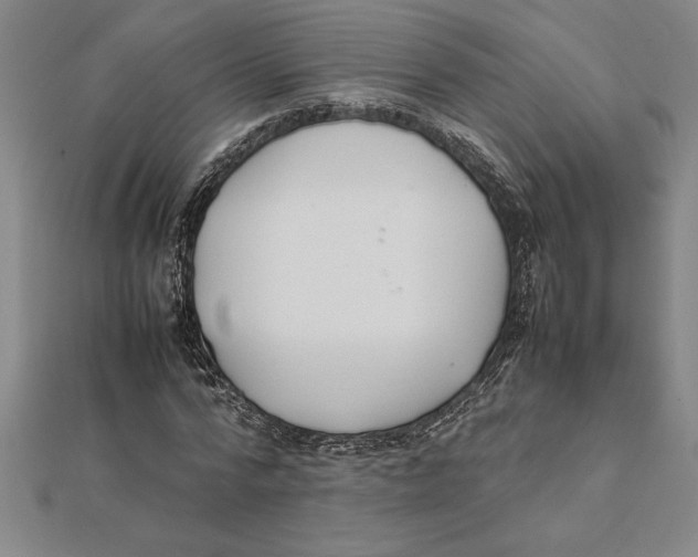 X0000112110776200909011145