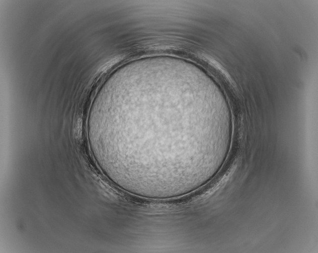 X0000112110777200909011145
