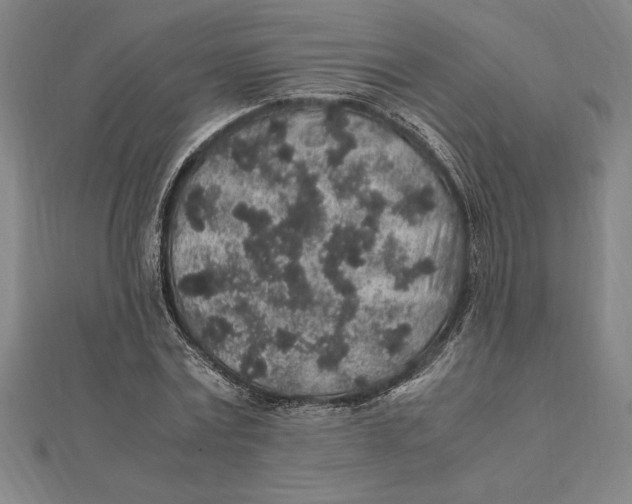 X0000112110779200909011145