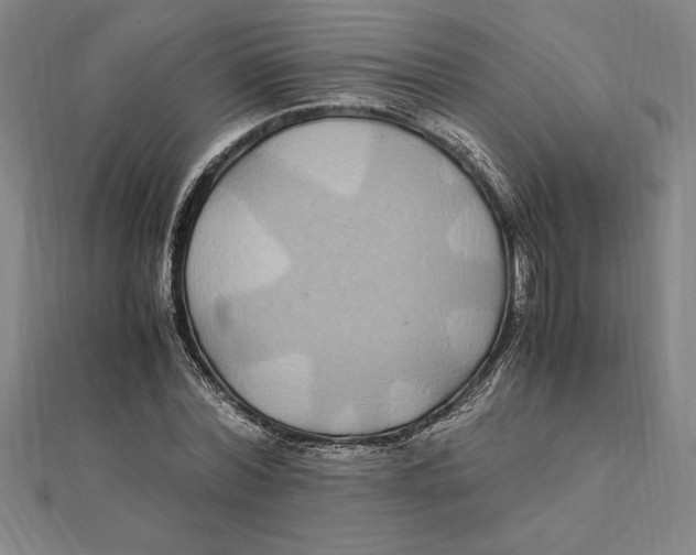 X0000112110780200909011145