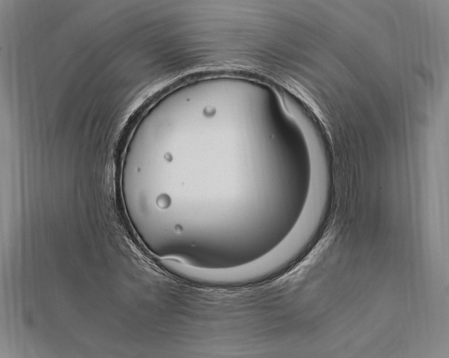 X0000112110781200909011145