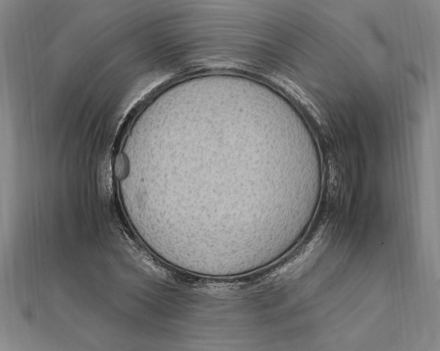 X0000112110782200909011145