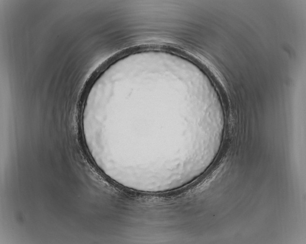 X0000112110783200909011145
