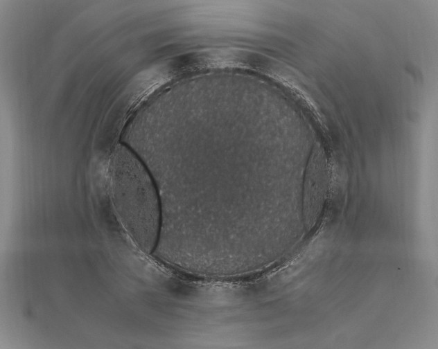 X0000112110785200909011145