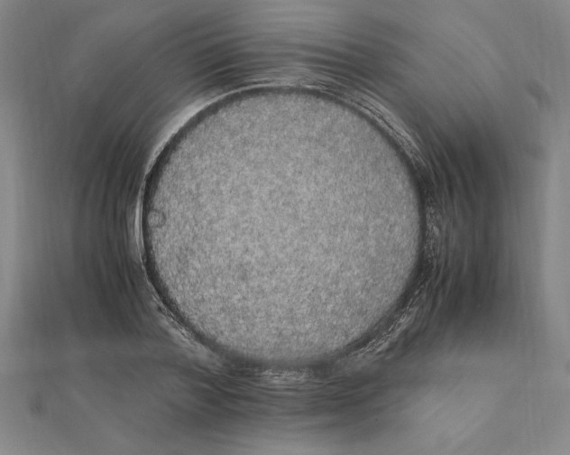 X0000112110788200909011145