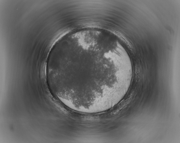 X0000112110790200909011145