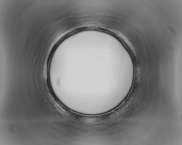 X0000112110791200909011145