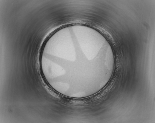 X0000112110792200909011145
