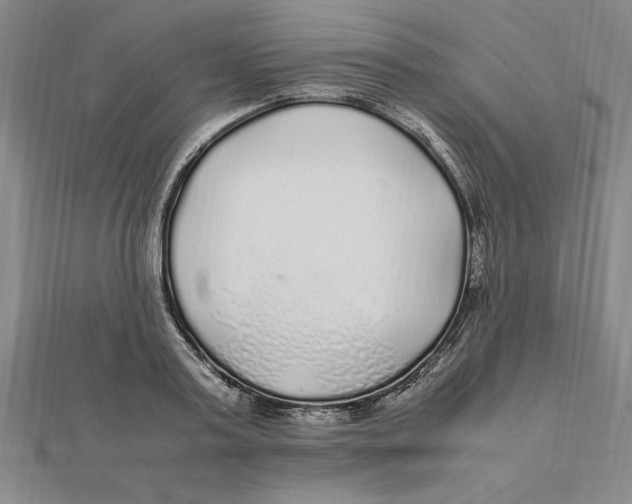 X0000112110795200909011145
