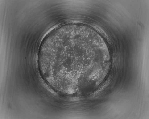 X0000112110798200909011145