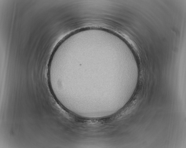 X0000112110799200909011145