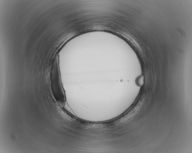 X0000112110801200909011145