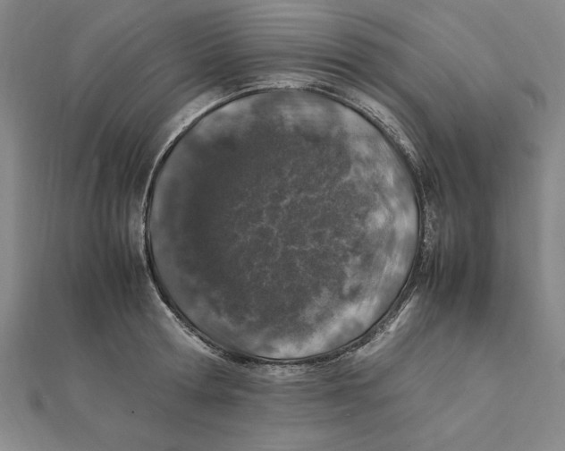 X0000112110802200909011145