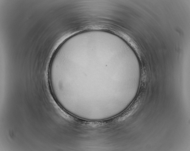 X0000112110803200909011145