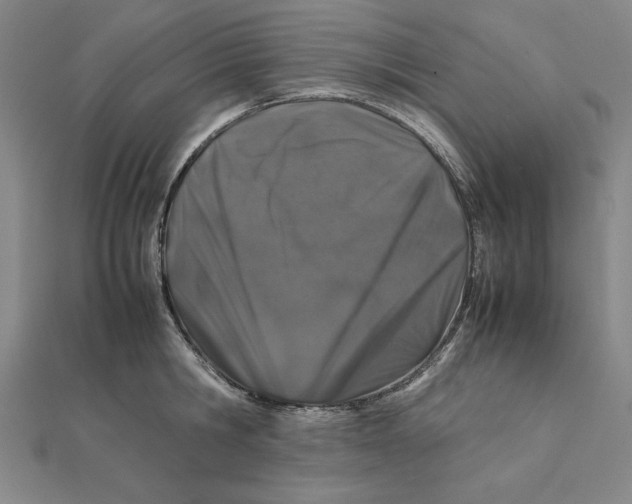 X0000112110806200909011144