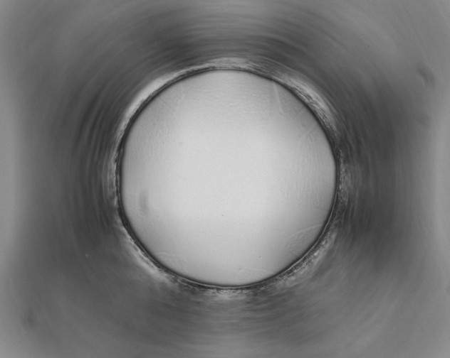 X0000112110808200909011144
