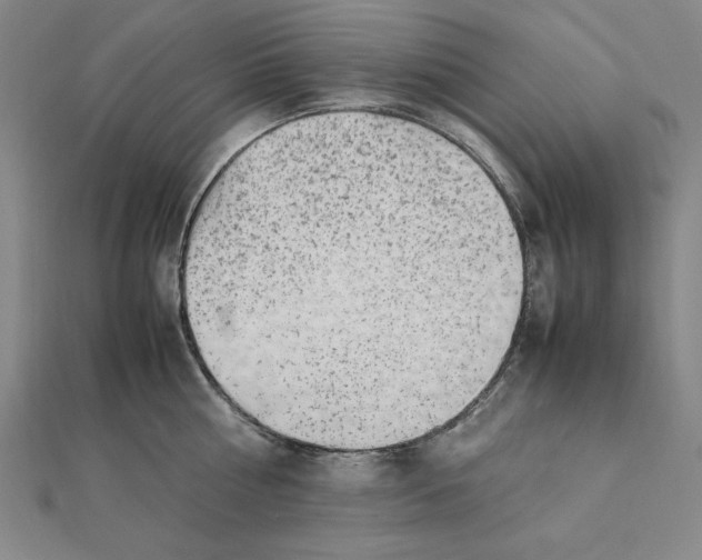 X0000112110810200909011144