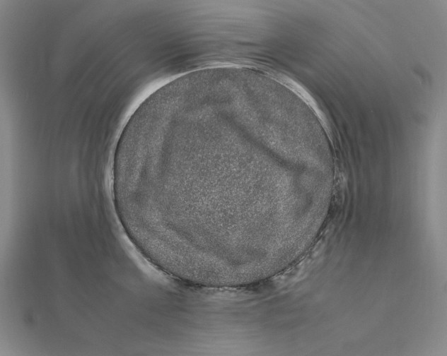 X0000112110811200909011144