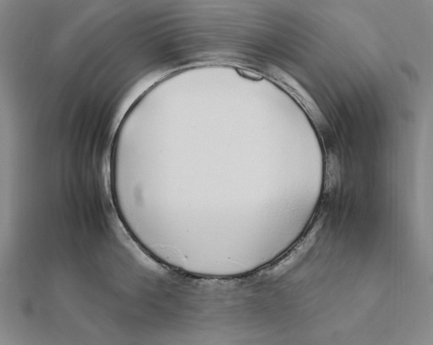 X0000112110812200909011144