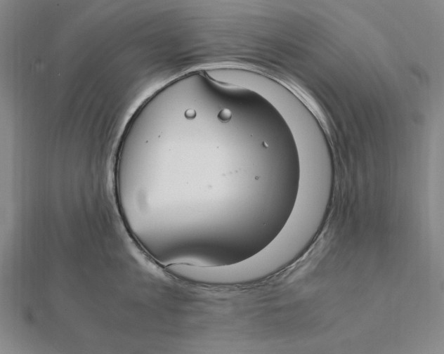 X0000112110813200909011144