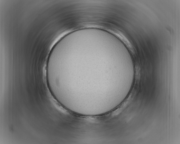 X0000112110814200909011144