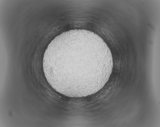 X0000112110817200909011144