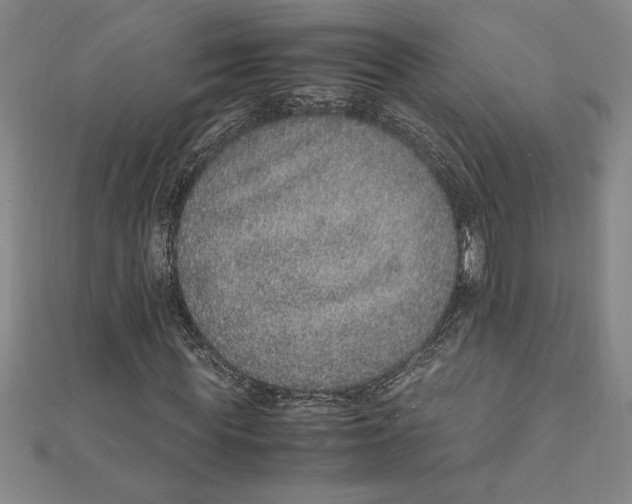 X0000112110819200909011144