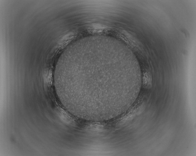 X0000112110820200909011144