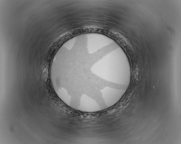 X0000112110821200909011144