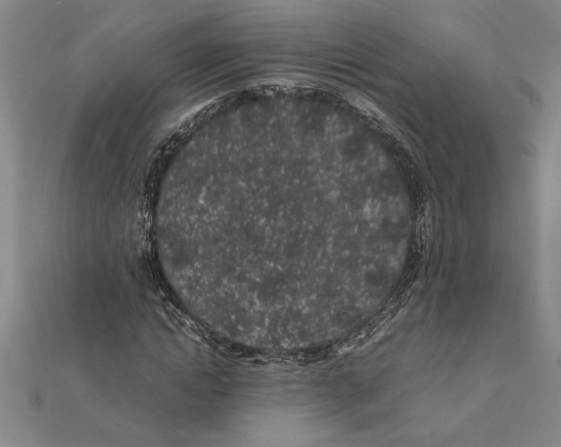 X0000112110822200909011144