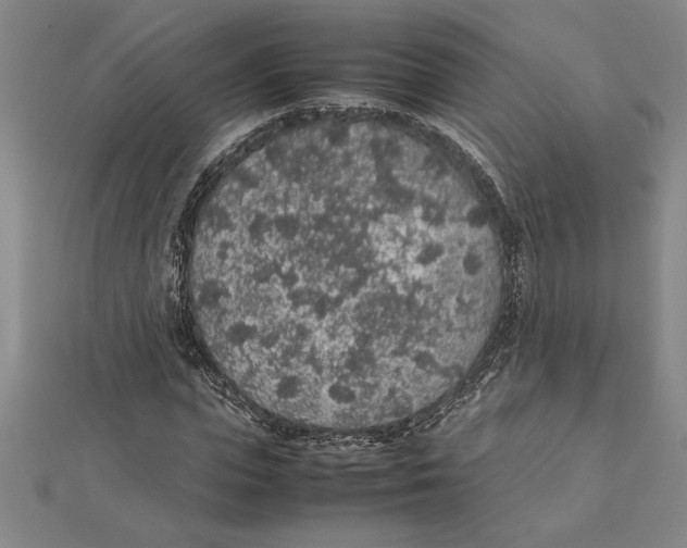 X0000112110823200909011144