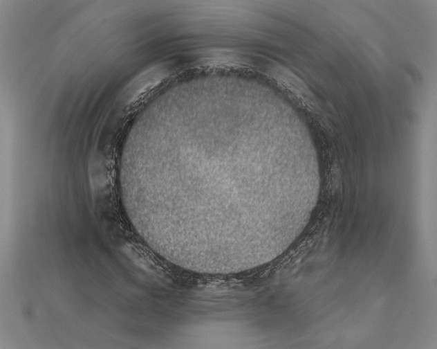 X0000112110824200909011144