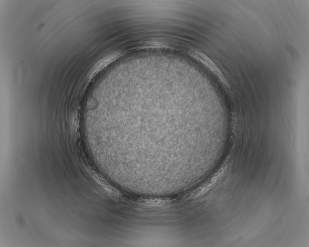 X0000112110826200909011144