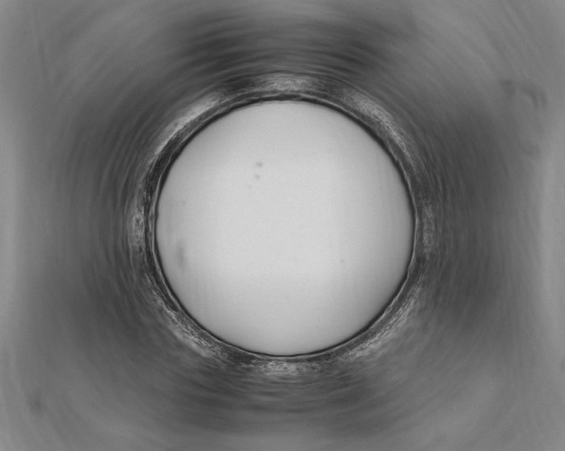 X0000112110827200909011144