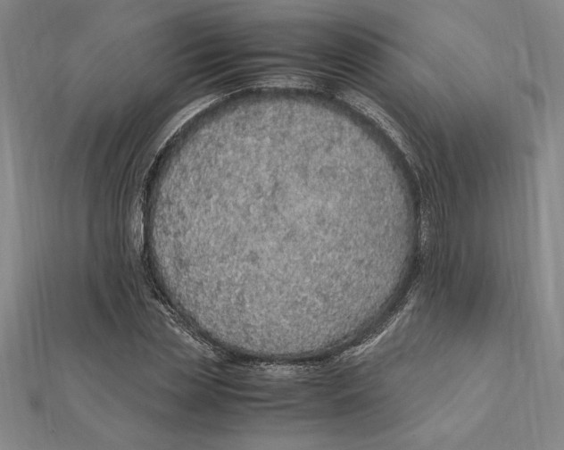 X0000112110829200909011144