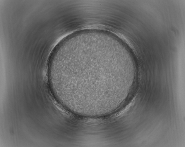 X0000112110830200909011144