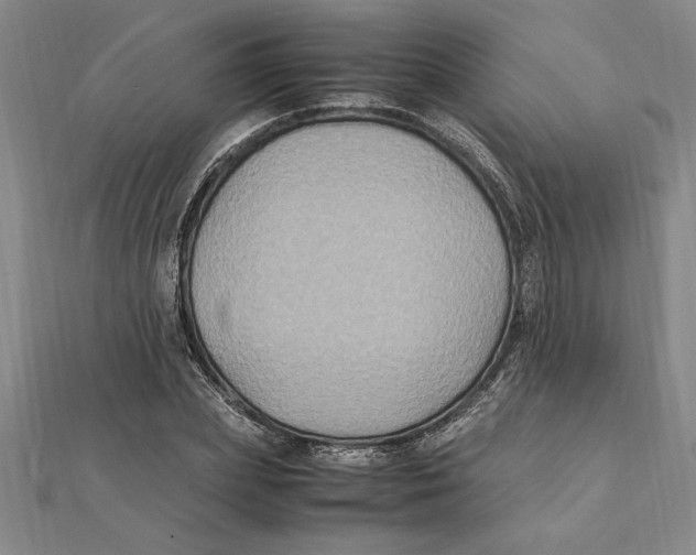 X0000112110831200909011144