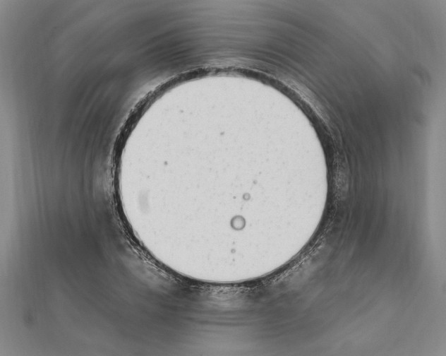 X0000112110832200909011144