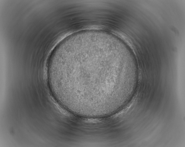 X0000112110835200909011144